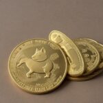 baby dogecoin price inr